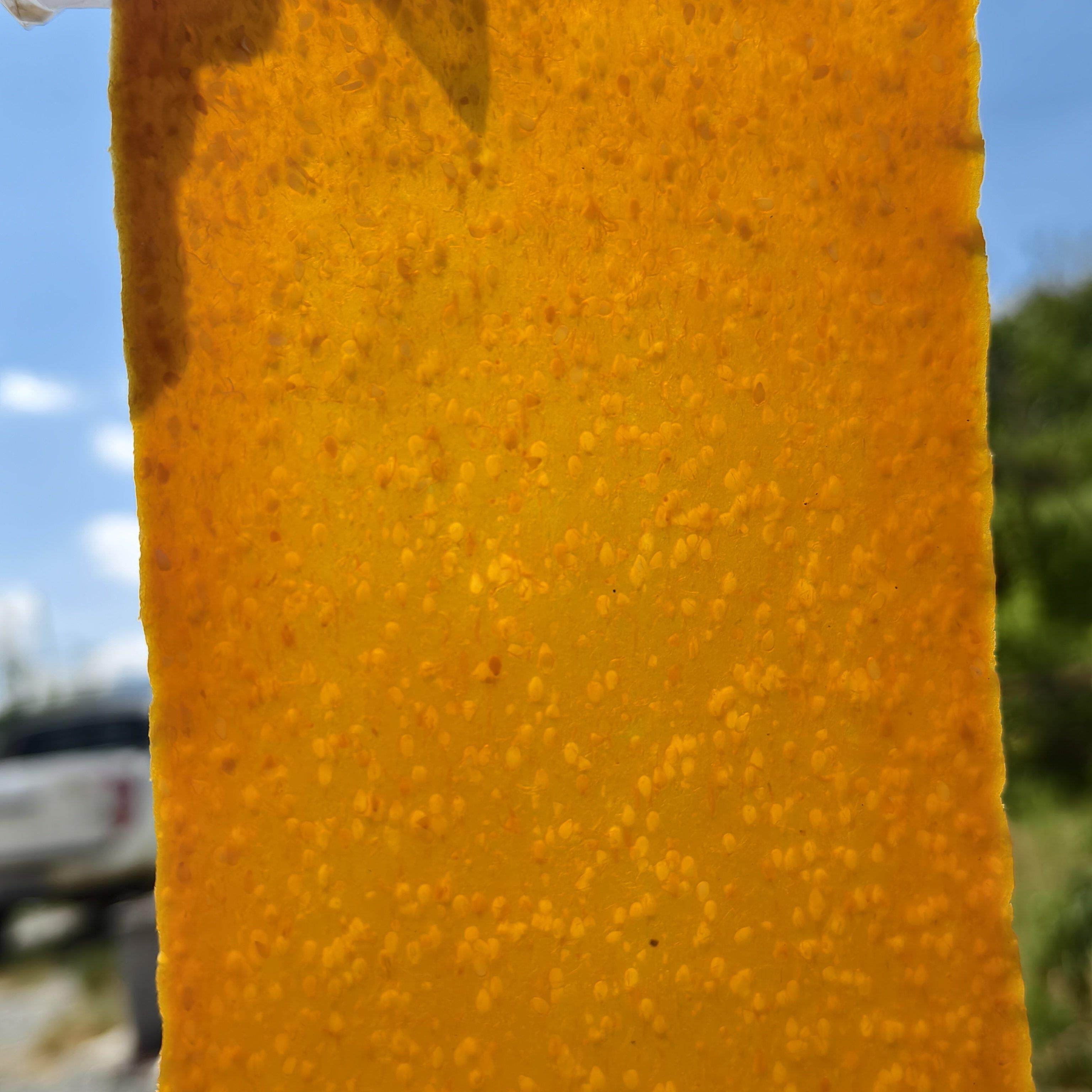 【不加糖】厚片芝麻红薯片地瓜干晒干手工红薯湖南永州土特产