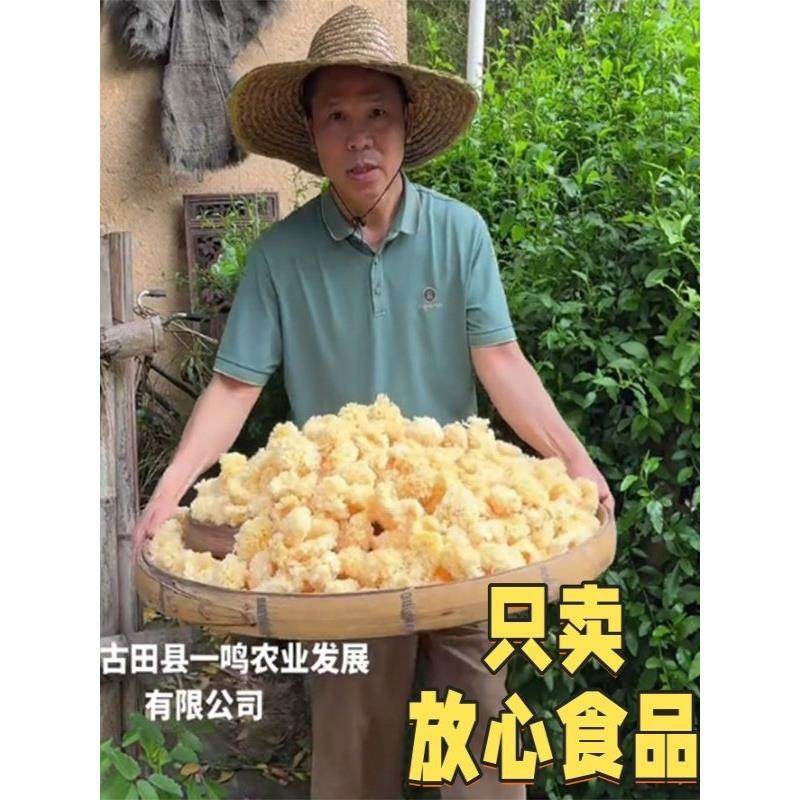 古田椴木小白木耳干货非特级野生有机粘白木耳易释胶雪木耳丑耳无