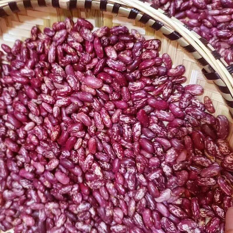 【新四季豆】贵州花豆农家自种红豆子豆米火锅酸菜豆米花芸豆