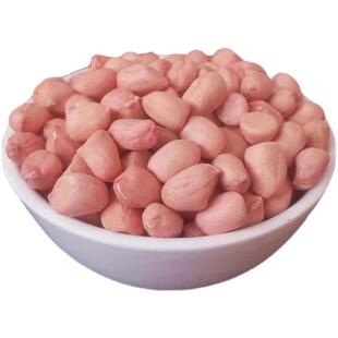 【五斤大降价】新鲜采摘先剥花生米粉皮大颗粒白沙生花生米商用