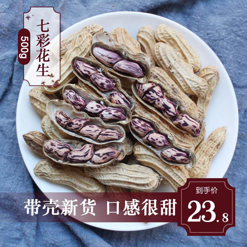 云南野地七彩花生500g带壳新生熟彩色花生黑花生米新鲜晒干种子