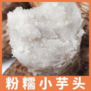荔浦红芽芋小芋仔毛芋头小香芋牛奶芋仔农家蔬菜早餐杂粮粉糯香甜
