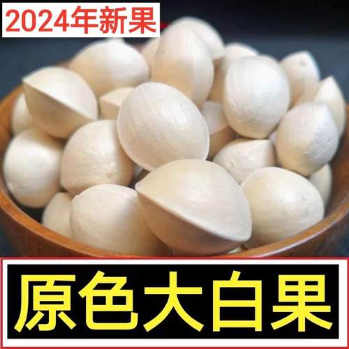 2024年新鲜大白果圆形银杏果带壳桂林海洋乡老树生百果白果仁饱满