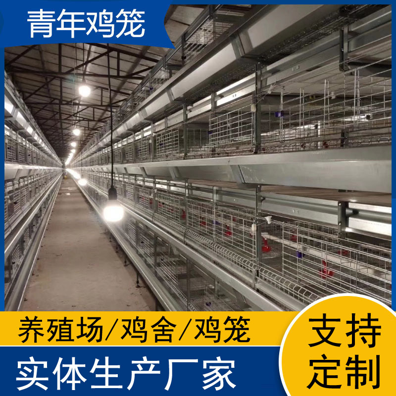 自动化层叠青年鸡鸡笼 立式养殖设备养殖场用鸽子笼鹌鹑笼厂家