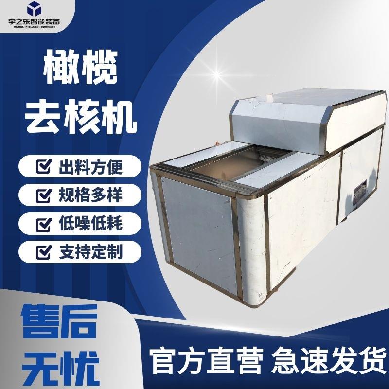 全自动橄榄去核机红枣水果去核机橄榄鲜干果去核深加工设备