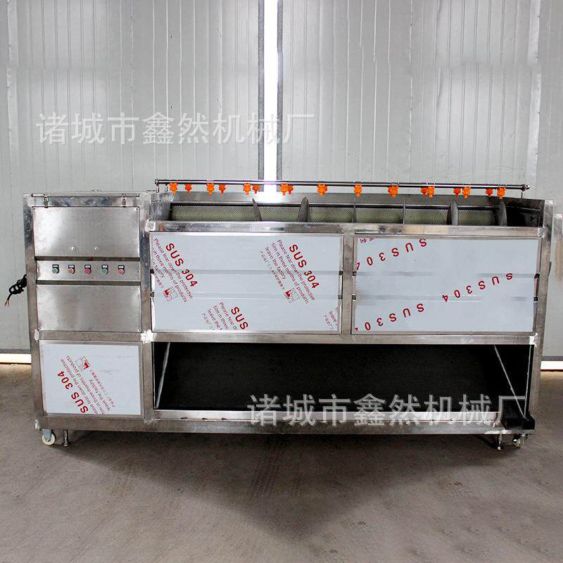 厂家供应土豆红薯大姜马蹄猪蹄猪头毛刷清洗机不锈钢材