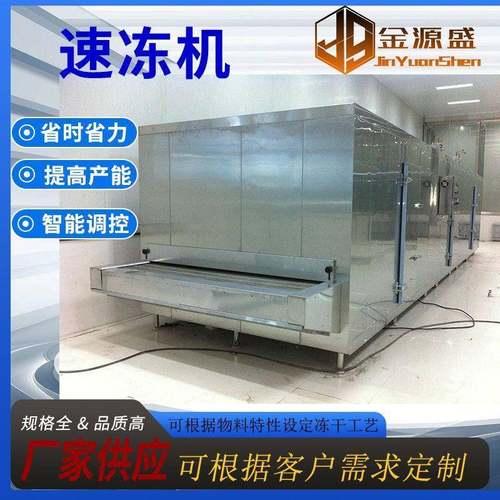 低温冷冻设备薯条春卷虾隧道式速冻机脆骨丸奇异果速冻