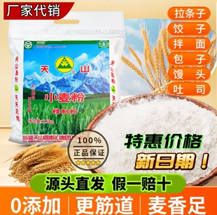 天山面粉新疆中筋面粉特一粉家用小麦粉包子饺子拉条子专用面粉
