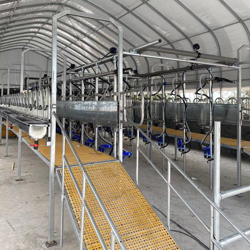 奶羊计量瓶挤奶台挤羊奶器吸羊奶机器牧场用羊用易操作挤奶台,农机/农具/农膜,播种栽苗器/地膜机,淘宝优惠券,粉丝福利购,淘宝优惠卷