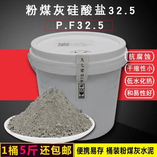 粉煤灰水泥PF32.5普通硅酸盐高标号快速干实验高强度修补抹面砌砖