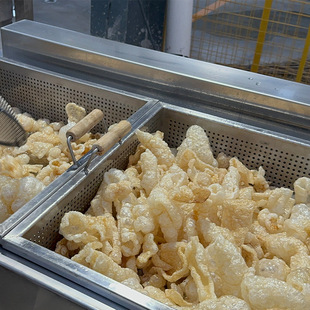 猪皮油炸机 厂家定制半自动小型商用双框油炸机