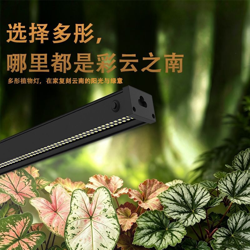 多彤植物补光类云南仿太阳全光谱