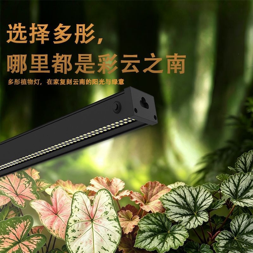 多彤植物补光类云南仿太阳全光谱