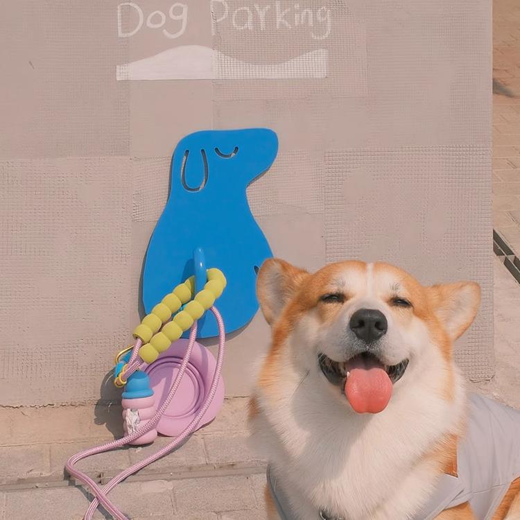 金属固定栓泊狗位宠物小狗临时停车休息可爱创意狗桩牵引绳固定钩