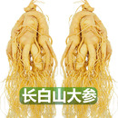 长白山正宗鲜人参煲汤泡酒专用高品质鲜参滋补养生吉林园参整枝参