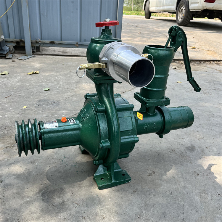 双叶轮喷灌泵扬程150米 抗旱浇地爬坡水泵 三农抽水机 抽水泵