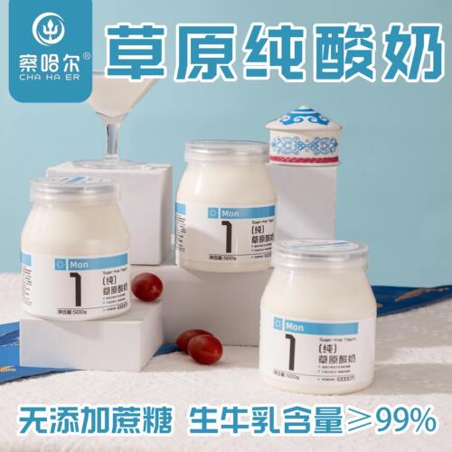 内蒙古纯酸奶家庭装纯酸奶