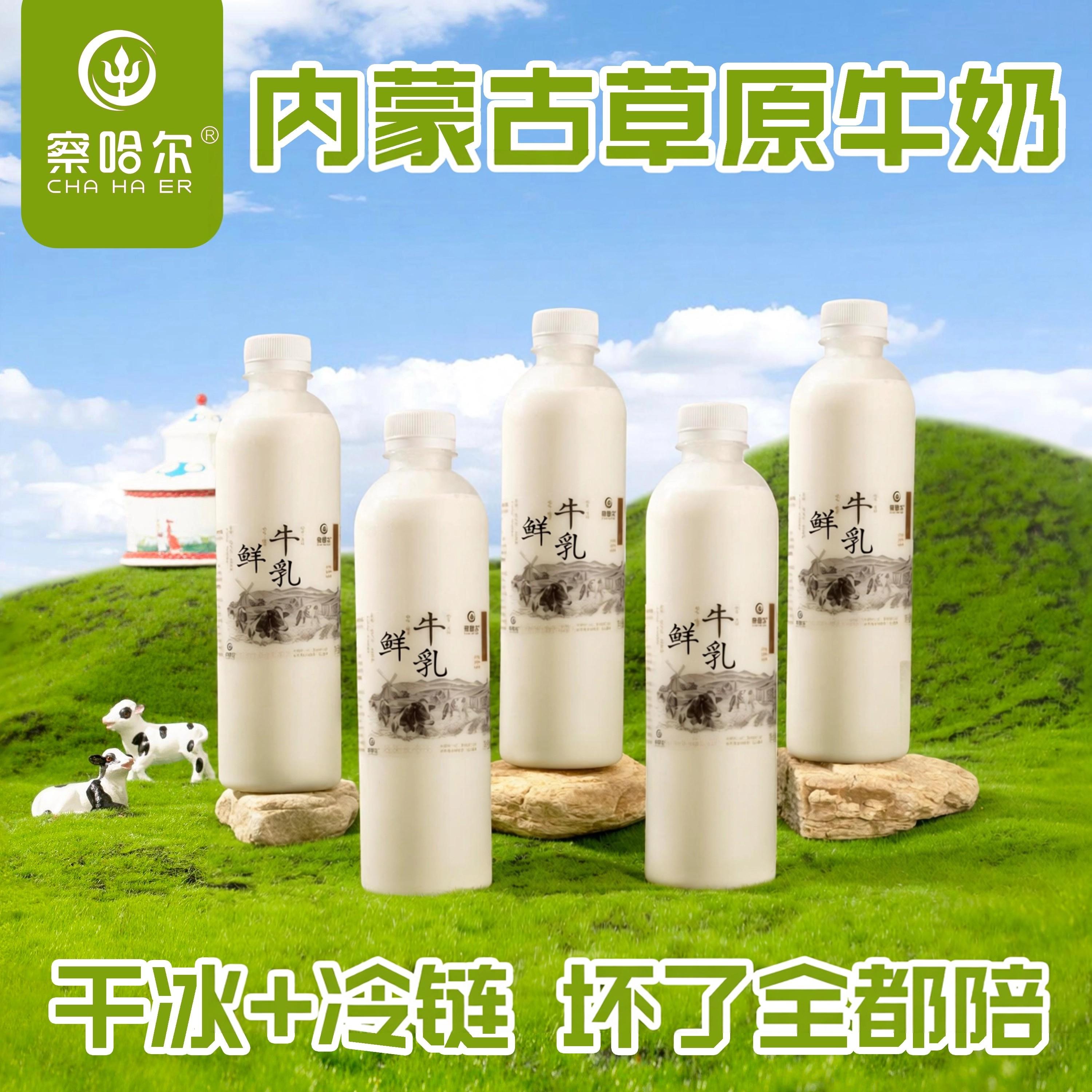 内蒙古乌兰察布原牛奶牧场直发新低温奶