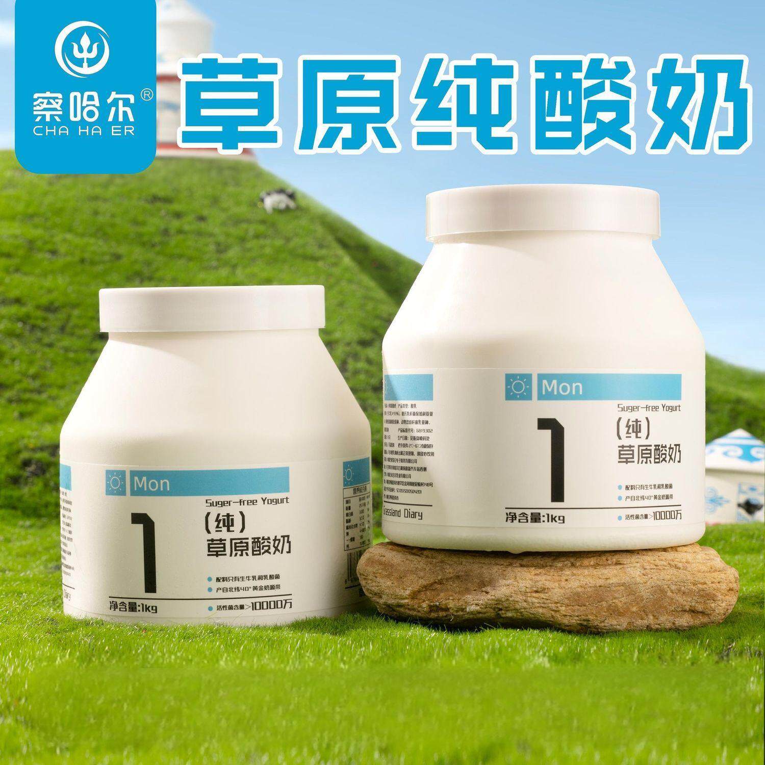 内蒙古纯酸奶  家庭装低温酸奶桶早餐营养酸奶碗 内蒙古直发