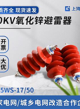 10KV户外高压绝缘HY5WZ-17/45电站型高压复合氧化锌避雷器配电型