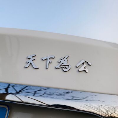 天下为公汽车标贴不锈钢3D装饰贴