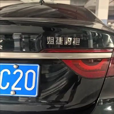 捷豹姐捷豹抱汽车车标贴不锈钢