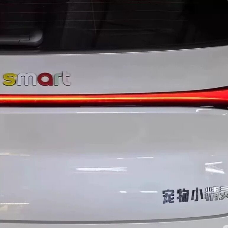 smart宠物小精灵标志3D汽车标贴