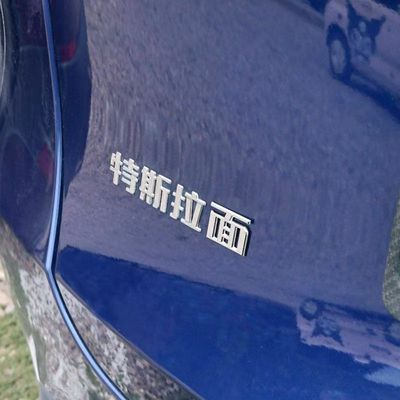 特斯拉面Model3/Y专属3D汽车车贴