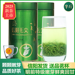 世明信阳毛尖2025新茶叶明前特级嫩芽浓香型毛尖绿茶散装125g*2
