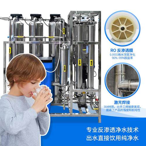 2T不实锈钢R反渗透O水处理设备疗验室医工程化工厂大型卫生级2508