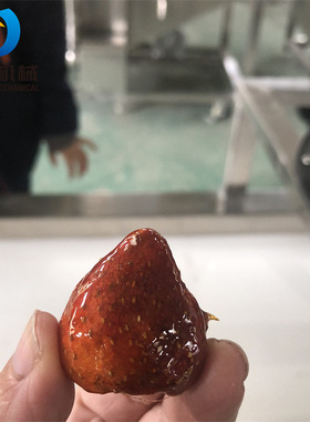 新款升级冻干草莓脆裹糖设备 整体304不锈钢冻干山楂浸糖生产线