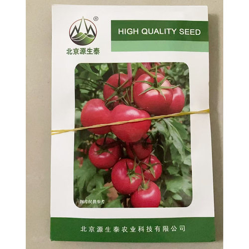 凯德87838越冬品种  凯德87704 大粉西红柿品种