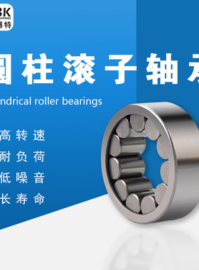 德国KBTBK进口圆柱滚子轴承N224 N226 N228 N230EM 铜保持架