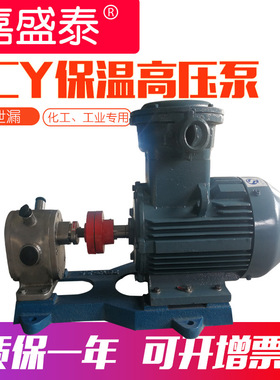 食品级齿轮泵 2CY-1.08/2.5型不锈钢保温齿轮泵 批发高压食品级泵
