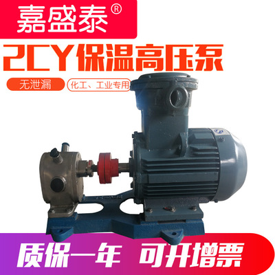 食品级齿轮泵 2CY-1.08/2.5型不锈钢保温齿轮泵 批发高压食品级泵