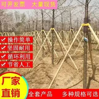 树木支撑固定器套装支撑架杆杉木松木杨木棍园林绿化稳定支架防风