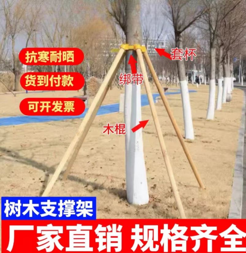 树木支撑架果树木棍固定器绿化树苗撑杆大树支架苗木树干护树防风