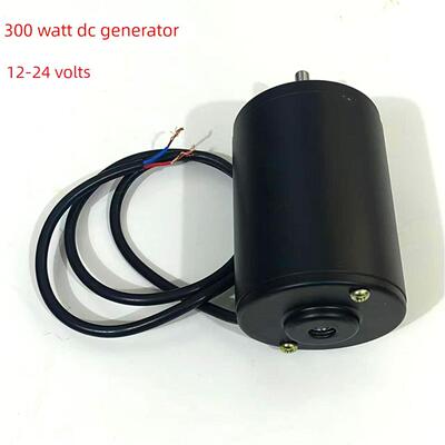 永磁直流发电机12V24V伏100W180W300瓦手摇风力脚踏水力电瓶充电