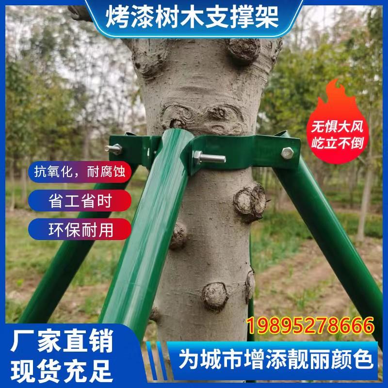 树木支撑固定器钢管树支撑架大树支撑杆树木固定支架园林绿化树撑