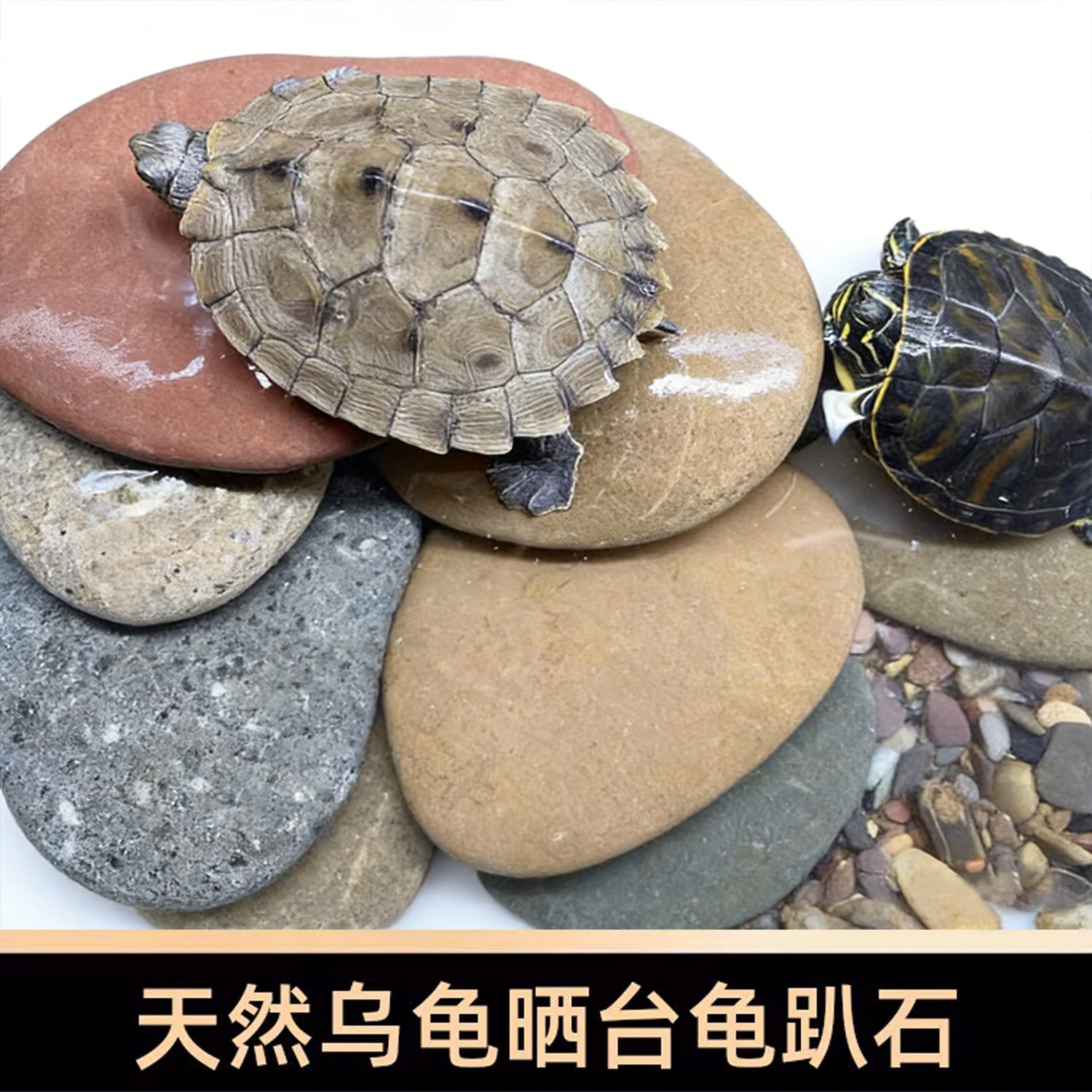 乌龟爬台晒台石龟趴石天然鹅卵石扁石鱼缸造景装饰爬坡垫脚石头,宠物/宠物食品及用品,造景/装饰,淘宝优惠券,粉丝福利购,淘宝优惠卷