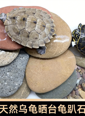 乌龟爬台晒台石龟趴石天然鹅卵石扁石鱼缸造景装饰爬坡垫脚石头