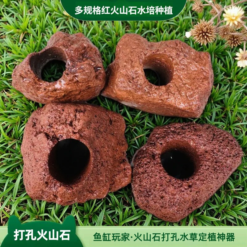 固定水草定植环打孔火山石
