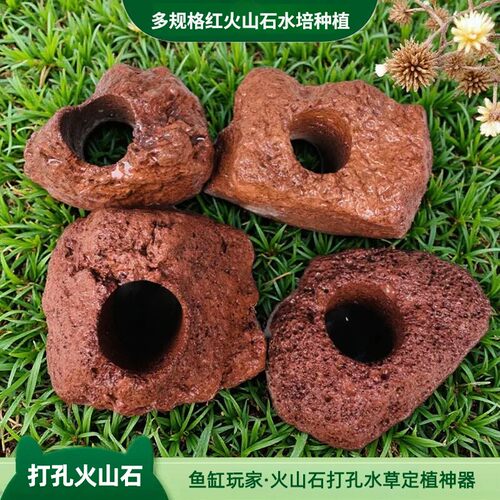 打孔火山石固定水草定植环红黑色水草种植环沉底造景石头躲避底座 - 封面