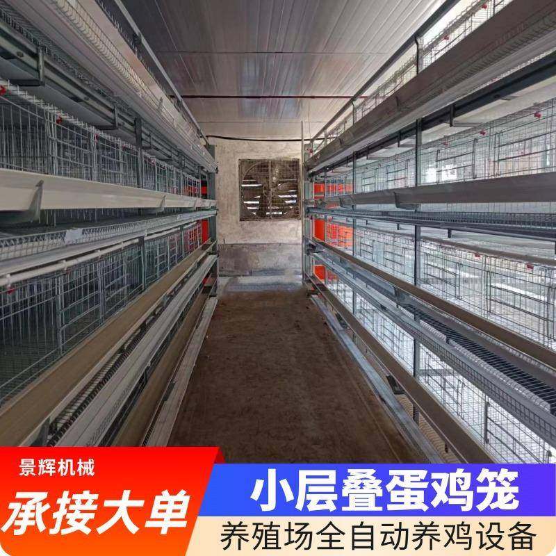 小层叠式蛋鸡笼全自动化厂家供应养鸡场智能自动化镀锌蛋鸡笼定制,畜牧/养殖物资,特种养殖设备,淘宝优惠券,粉丝福利购,淘宝优惠卷