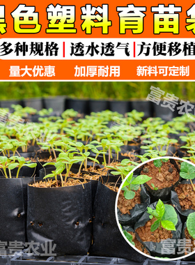 育苗袋营养杯百香果树苗瓜果黑色塑料育苗袋营养袋咖啡槟榔种植袋