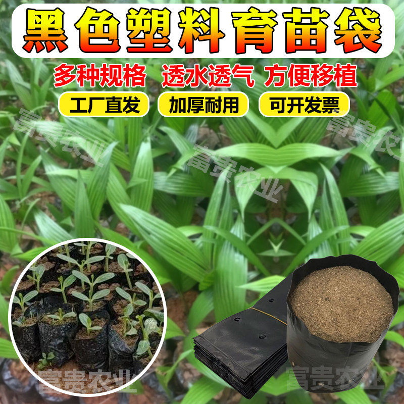 咖啡育苗袋槟榔黑色塑料育苗袋一次性桉树营养袋树苗瓜果苗种植袋