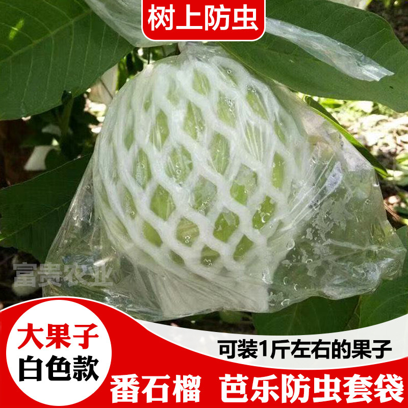 番石榴套袋杨桃芭乐防虫网袋专用一体泡沫包装袋石榴套袋水果网套