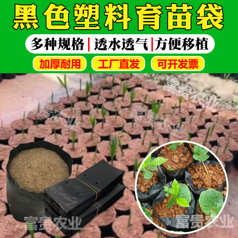 育苗袋咖啡槟榔黑色塑料育苗袋一次性小号桉树营养袋瓜果苗种植袋