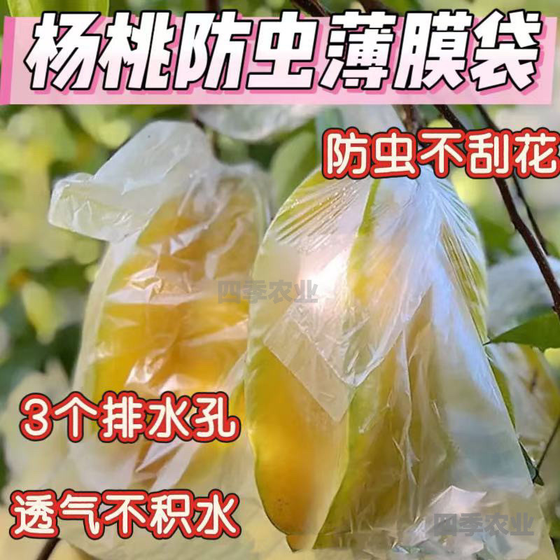 番石榴外袋杨桃芭乐专用套袋一次塑料透明薄膜袋防虫袋水果保护袋