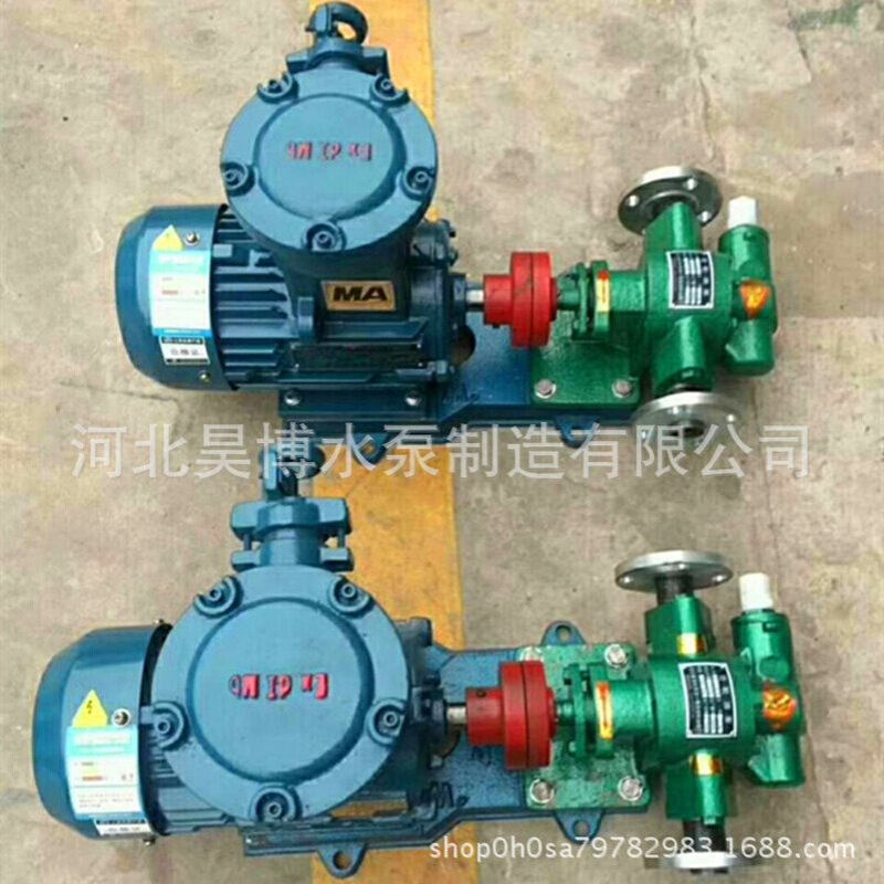 厂家批发 KCB-200型不锈钢齿轮泵 小型增压泵 高粘度抽油泵小功率